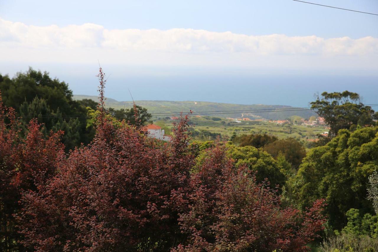 A House In The Woods Βίλα Σίντρα Εξωτερικό φωτογραφία